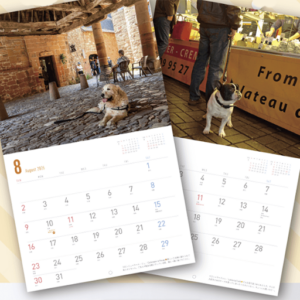 いぬのきもち2026年1月号カレンダー　8月